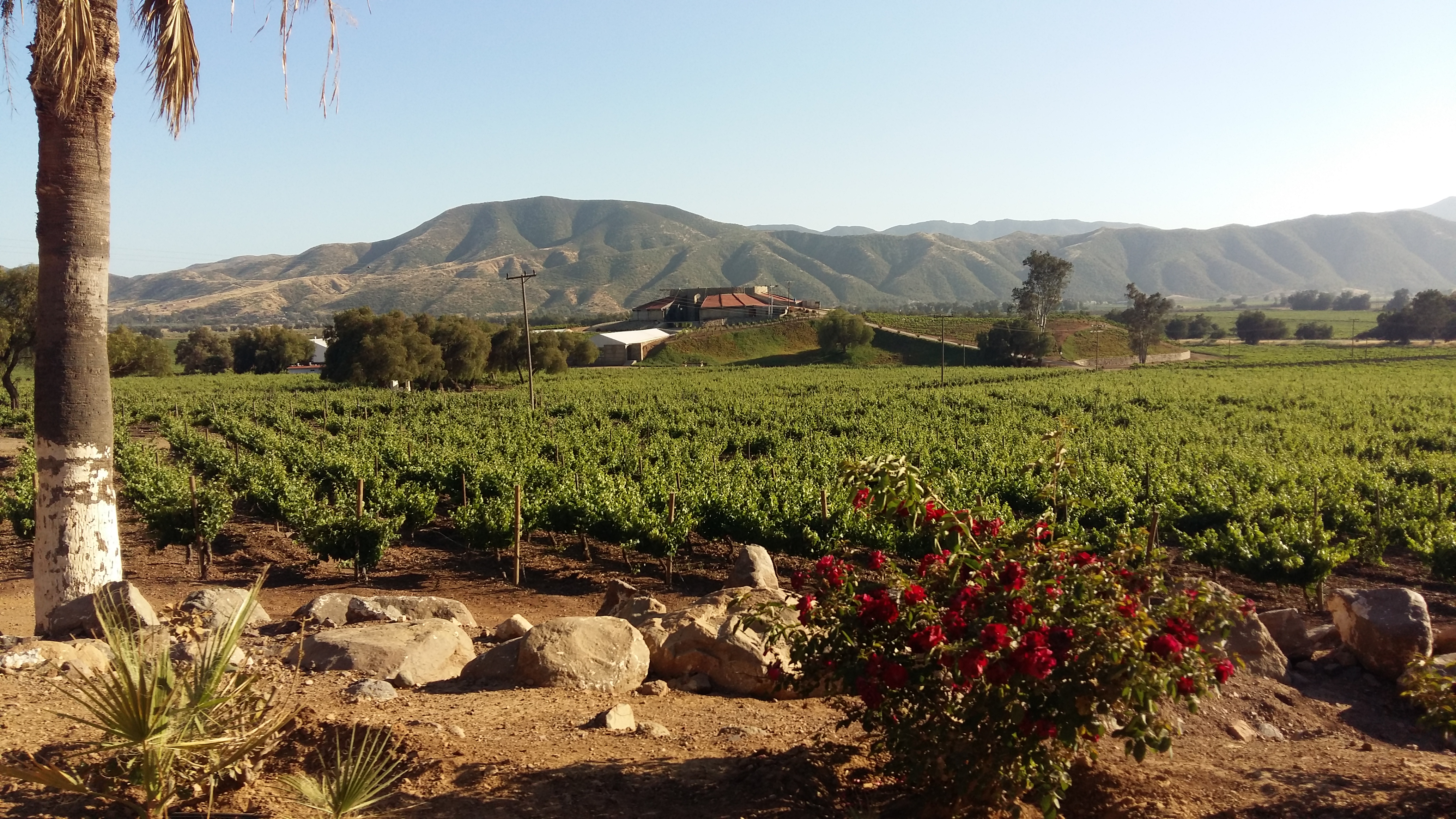 Asesoría Integral Ambiental en tratamiento de agua para industrial y doméstico